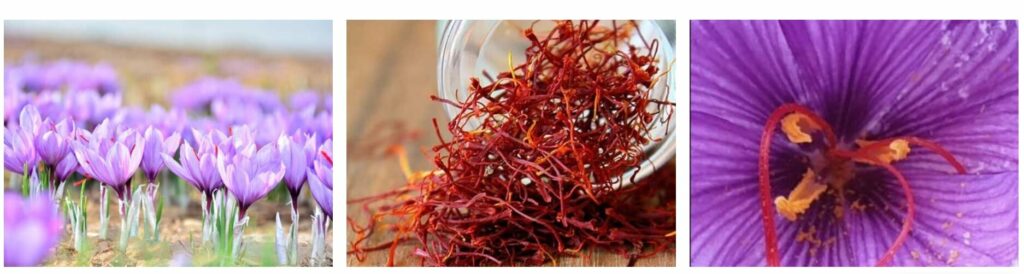 The best quality saffron